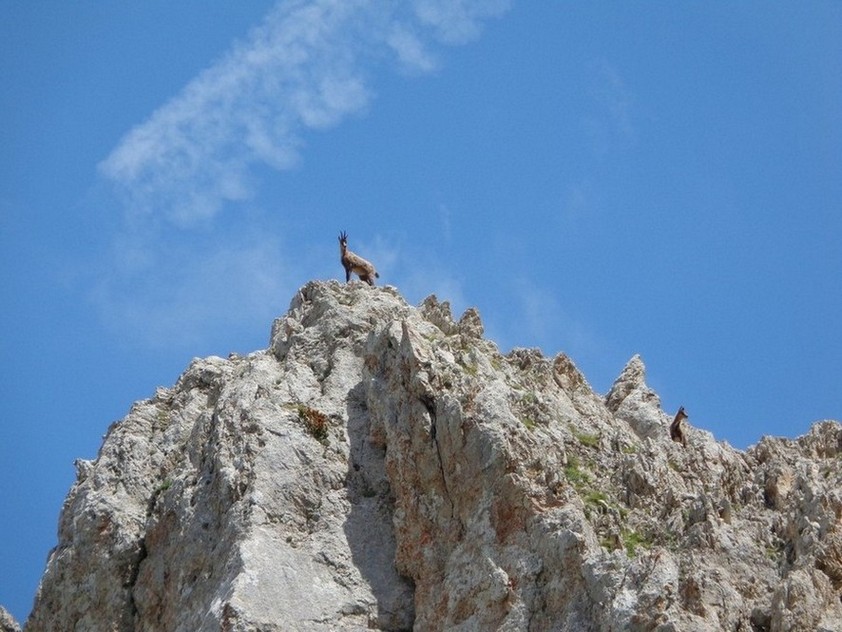 Il Dominatore della montagna