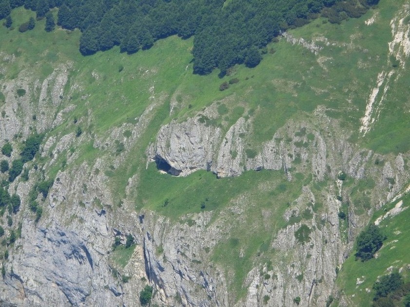 Caratteristici