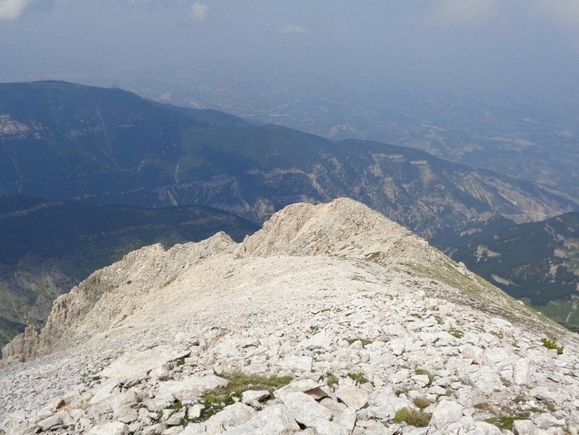 La cresta appena fatta