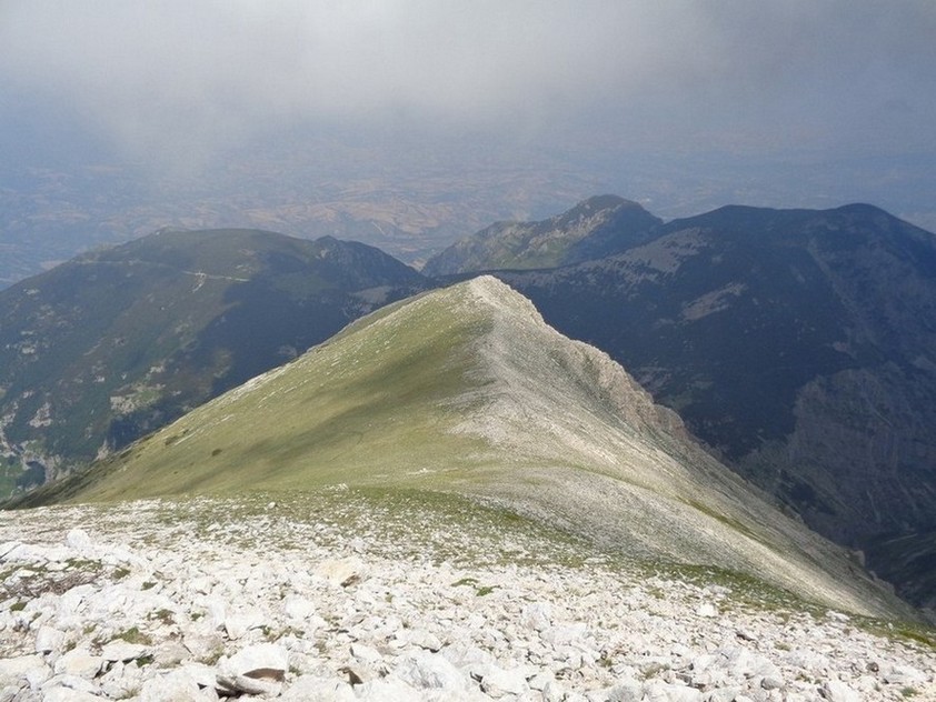 La cresta fatta prima