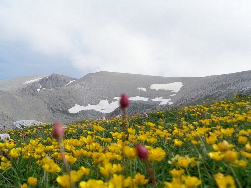 Siamo passati sopra quelle montagne sopra i fiori
