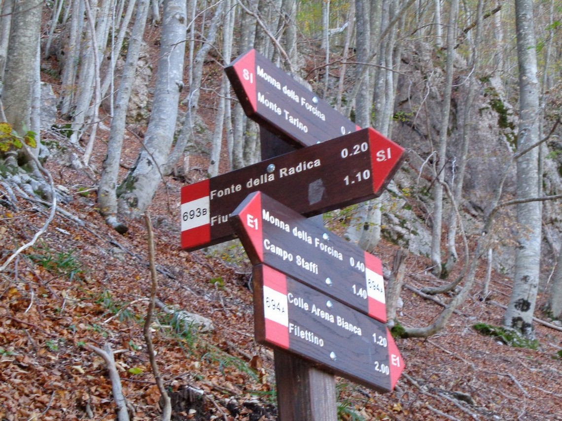 Tabellonistica molto curata