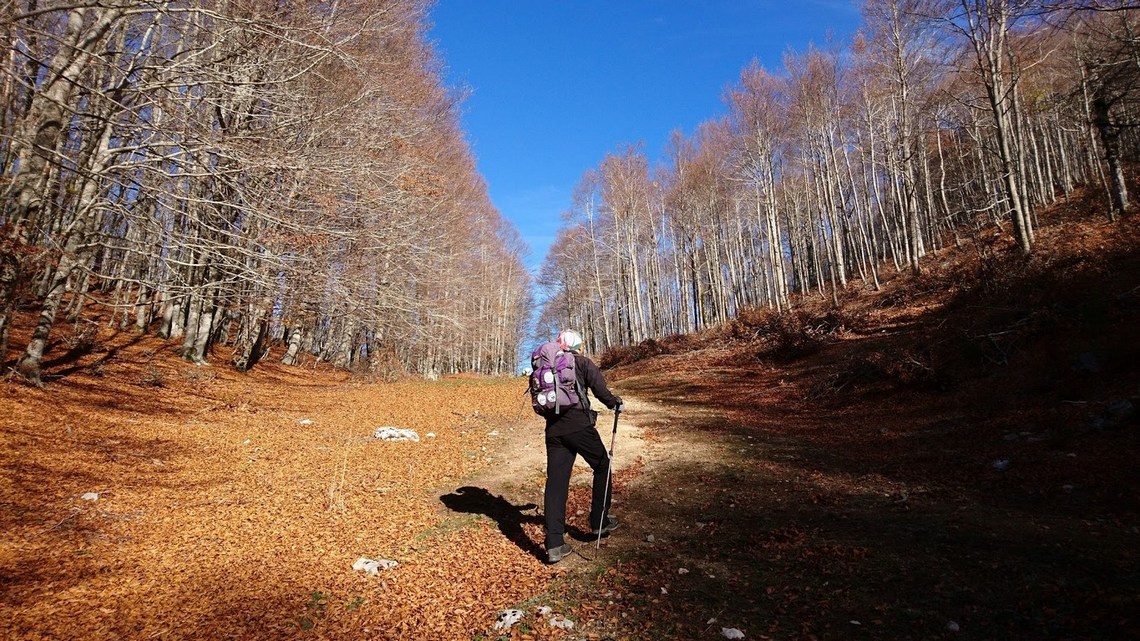 Finalmente il Sole ci scalda