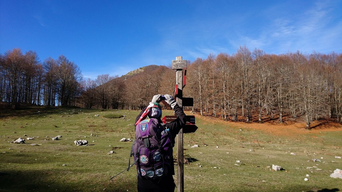 Fotografo tutto