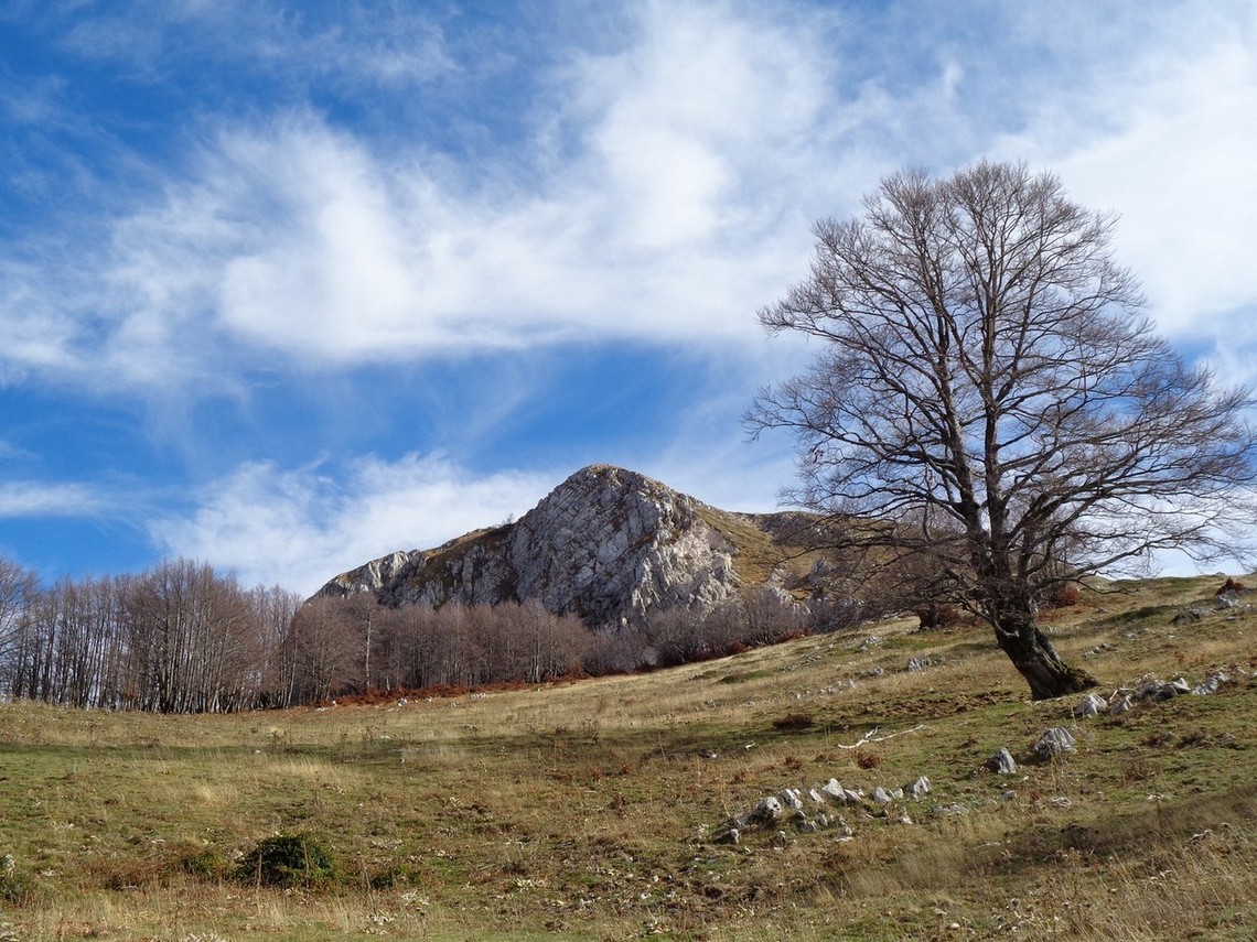 Bellezze