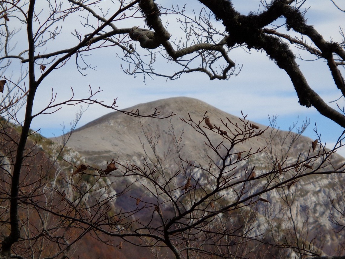 Il Monte Cotento fra i rami