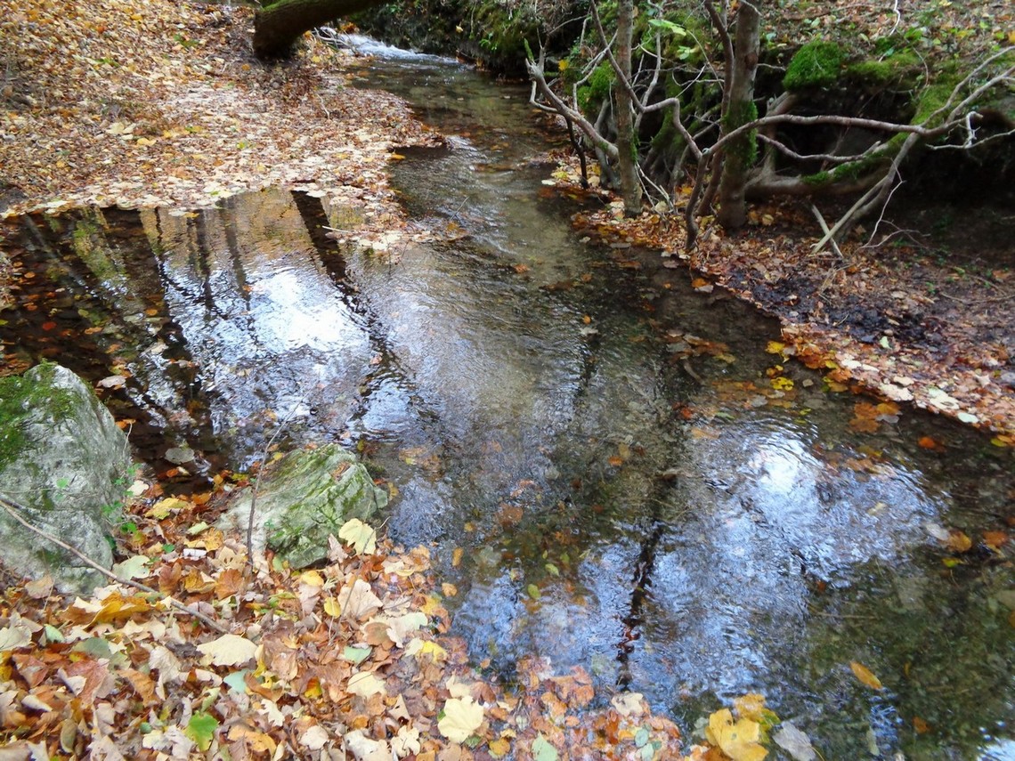 Specchi d'acqua