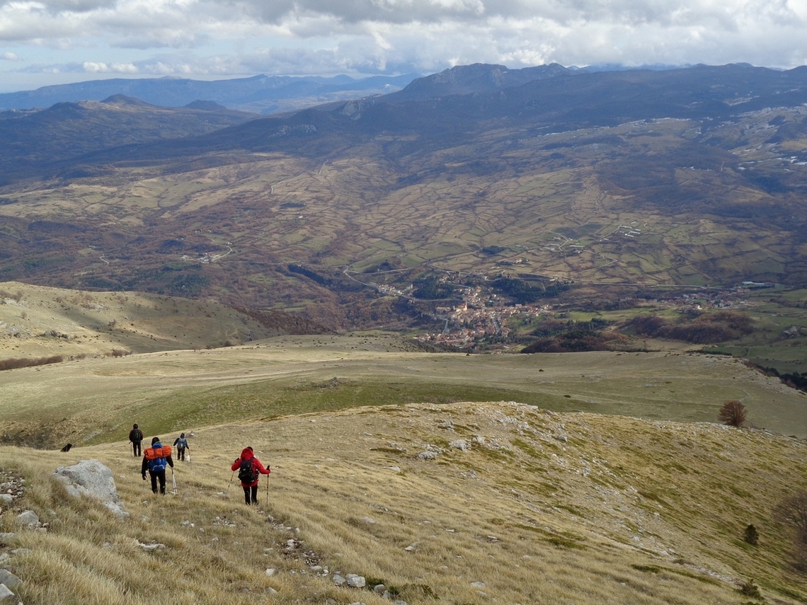 I Lupi scendono a Valle