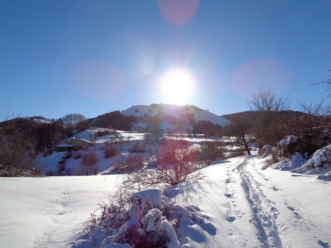 Scie di neve