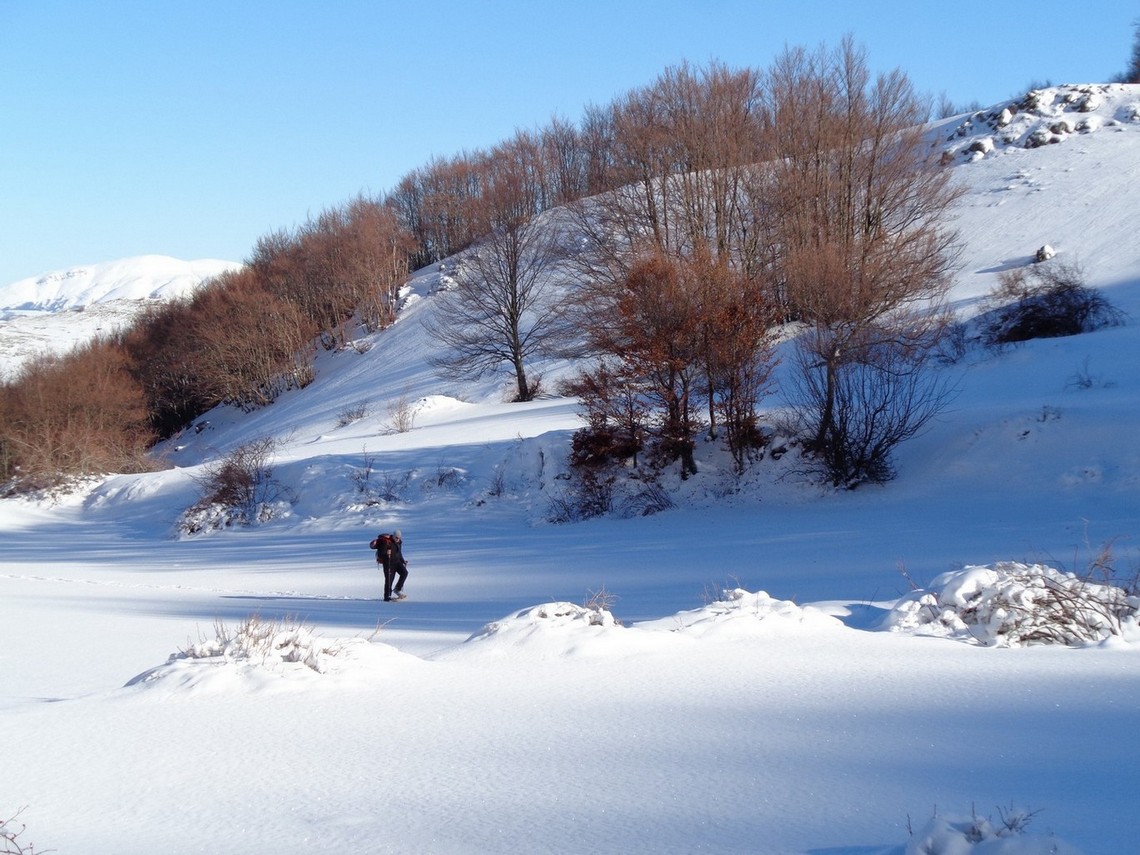 Alfonso Paone immerso nella natura