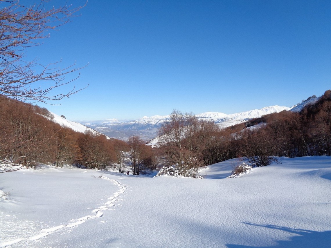 Neve immacolata
