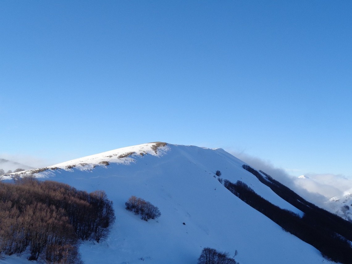 Ecco la bellissima cresta