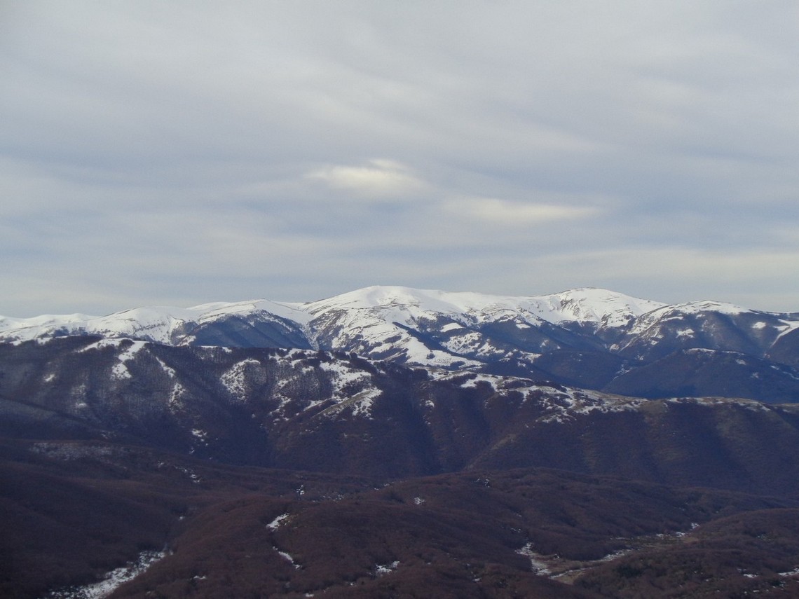 Uno sguardo verso il PNALM