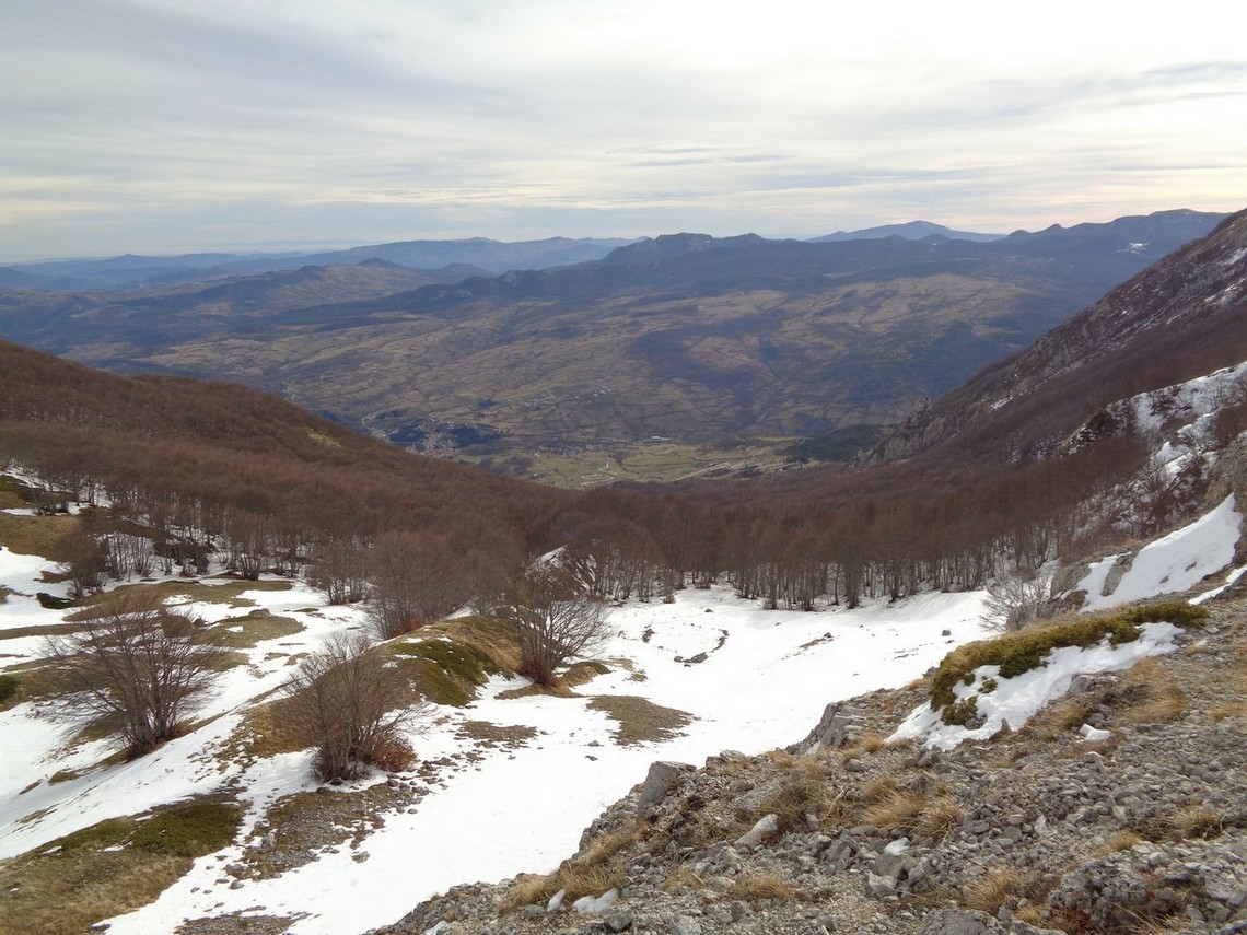 Il bosco ad EST