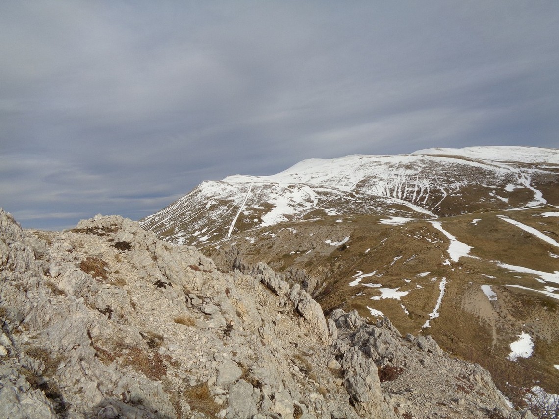 Verso la Tavola Rotonda