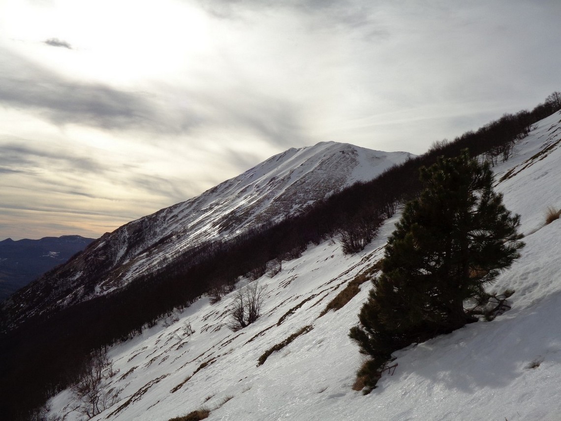Noi dovremmo arrivare in fondo