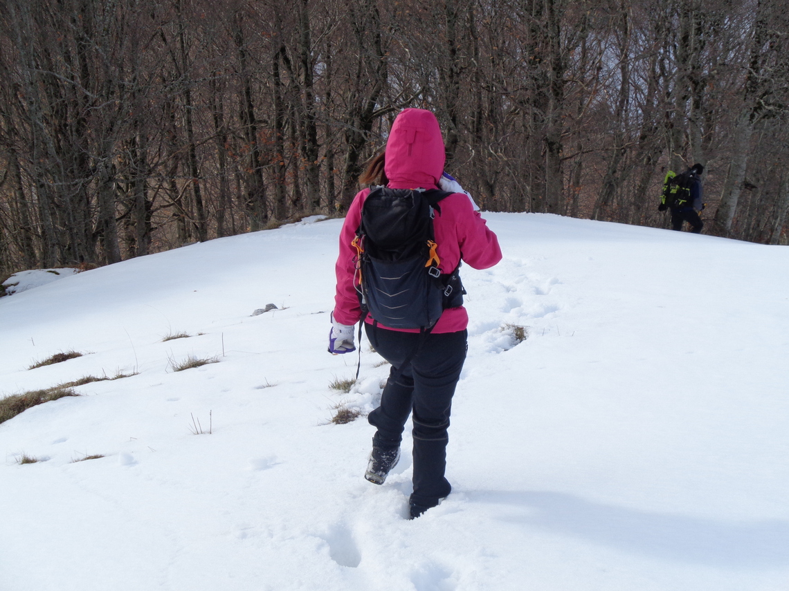 Francesca verso il Suo Bosco