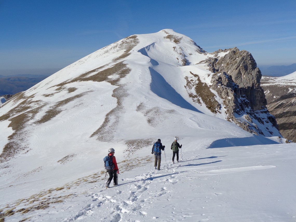 Senza tregua