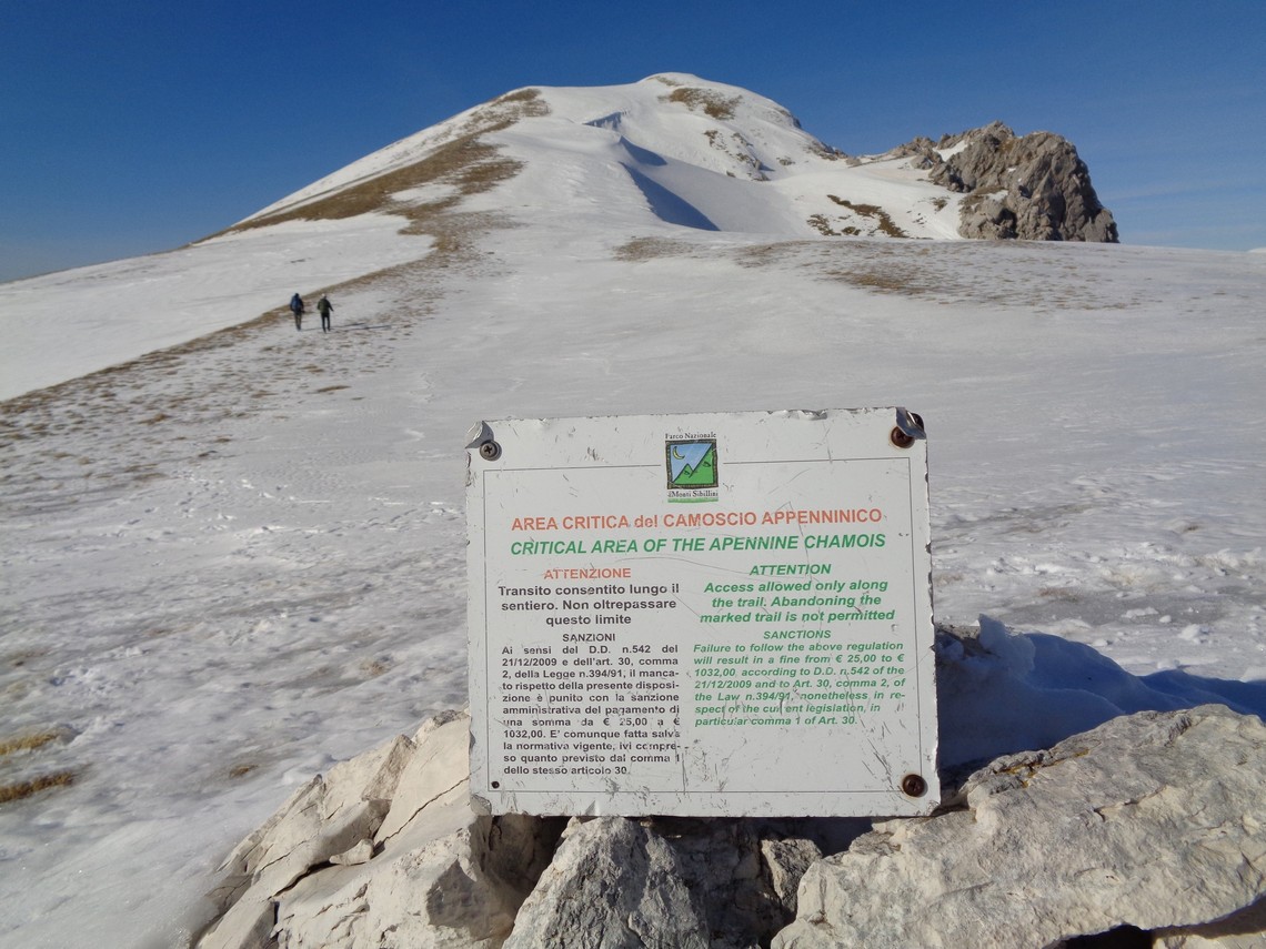 Particolare