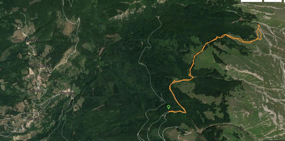 Il percorso dal mio GPS di oggi