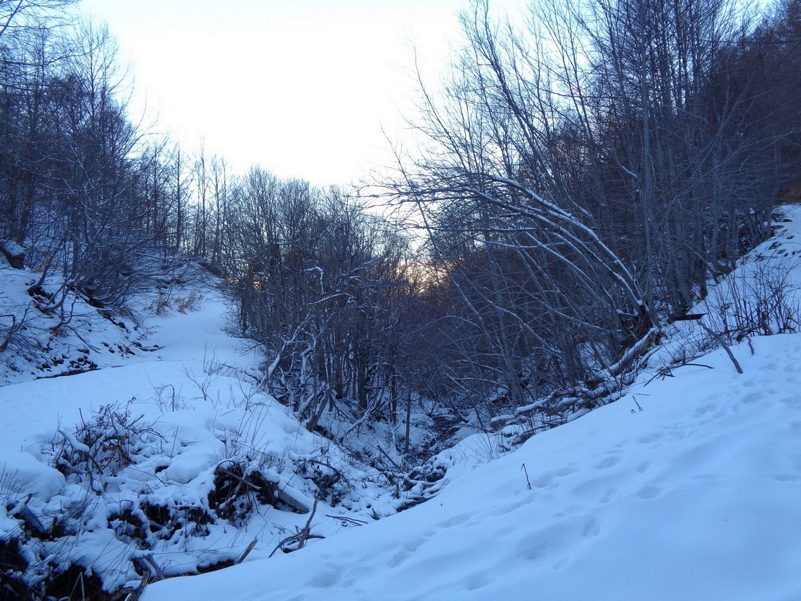 Ruscello dall'alto