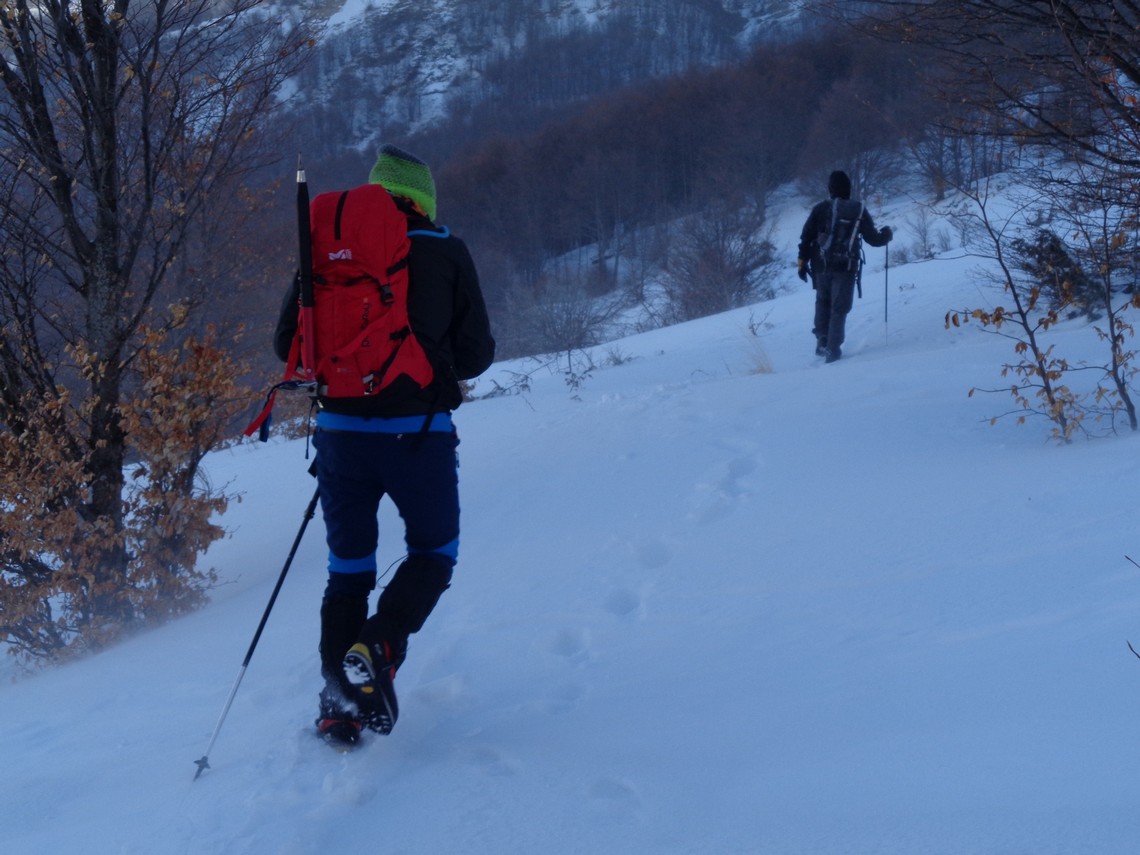 Verso l'alto