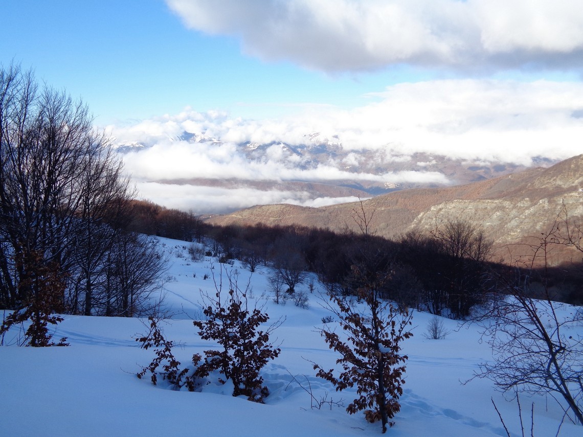 Che panorami