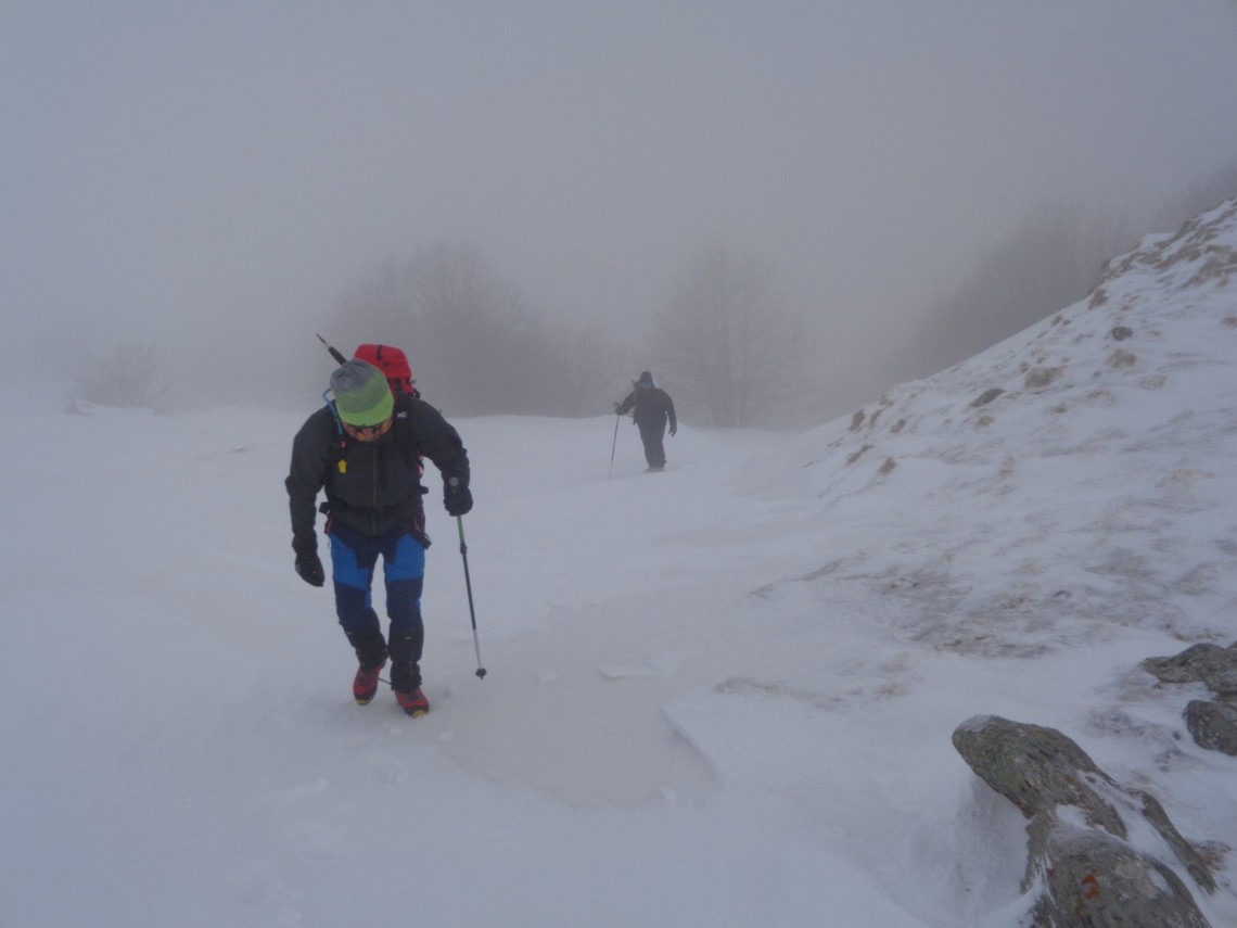 Inizia le nebbia