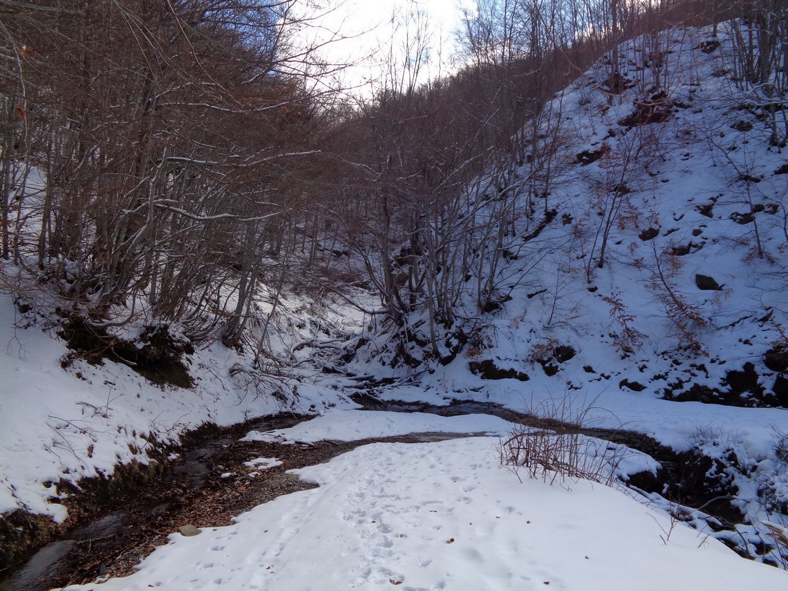 Ruscelli