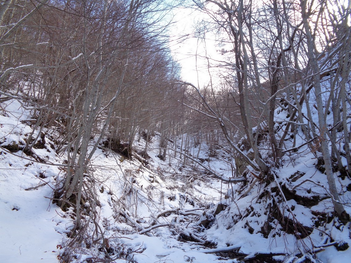 Verso la Valle