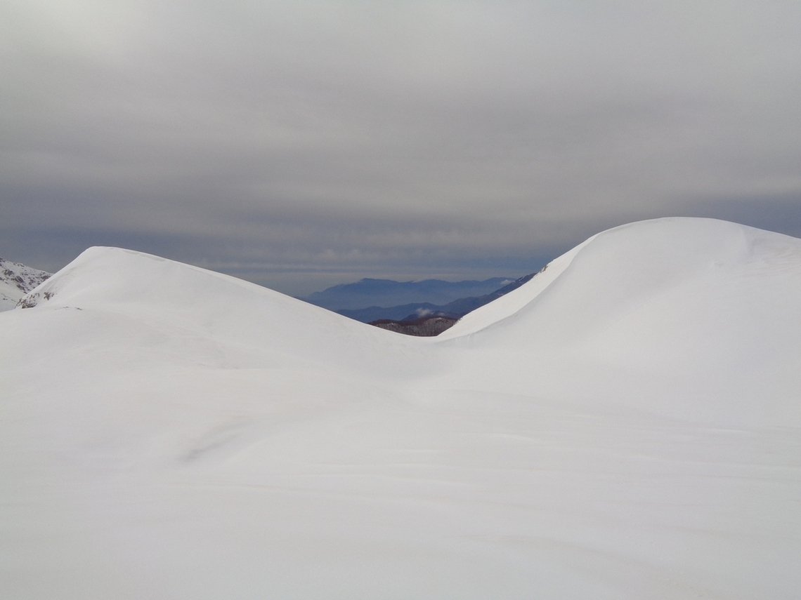 Onde di neve