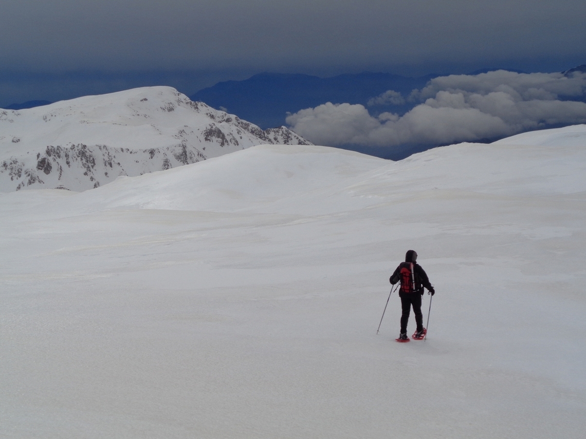 verso il basso