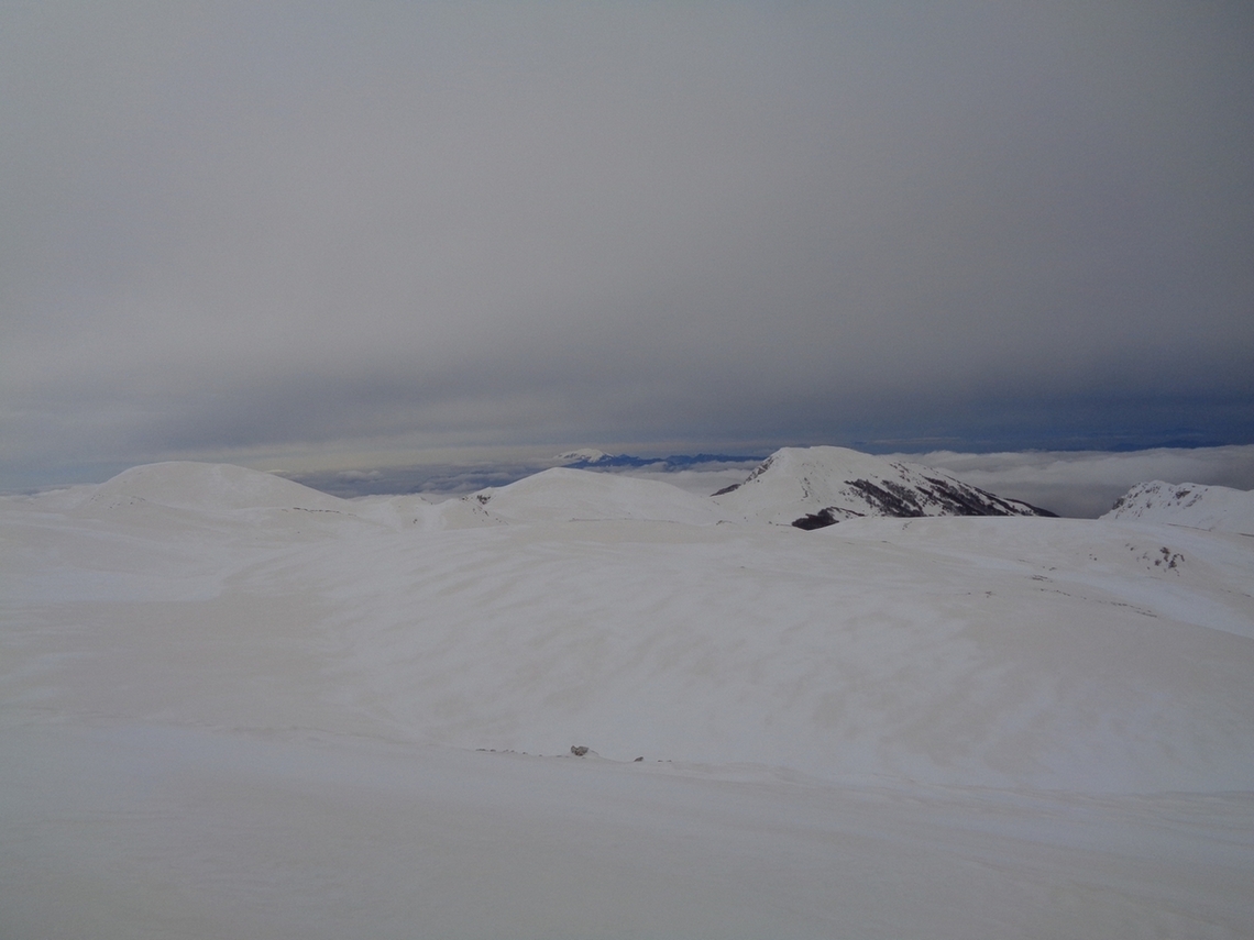 Panoramica