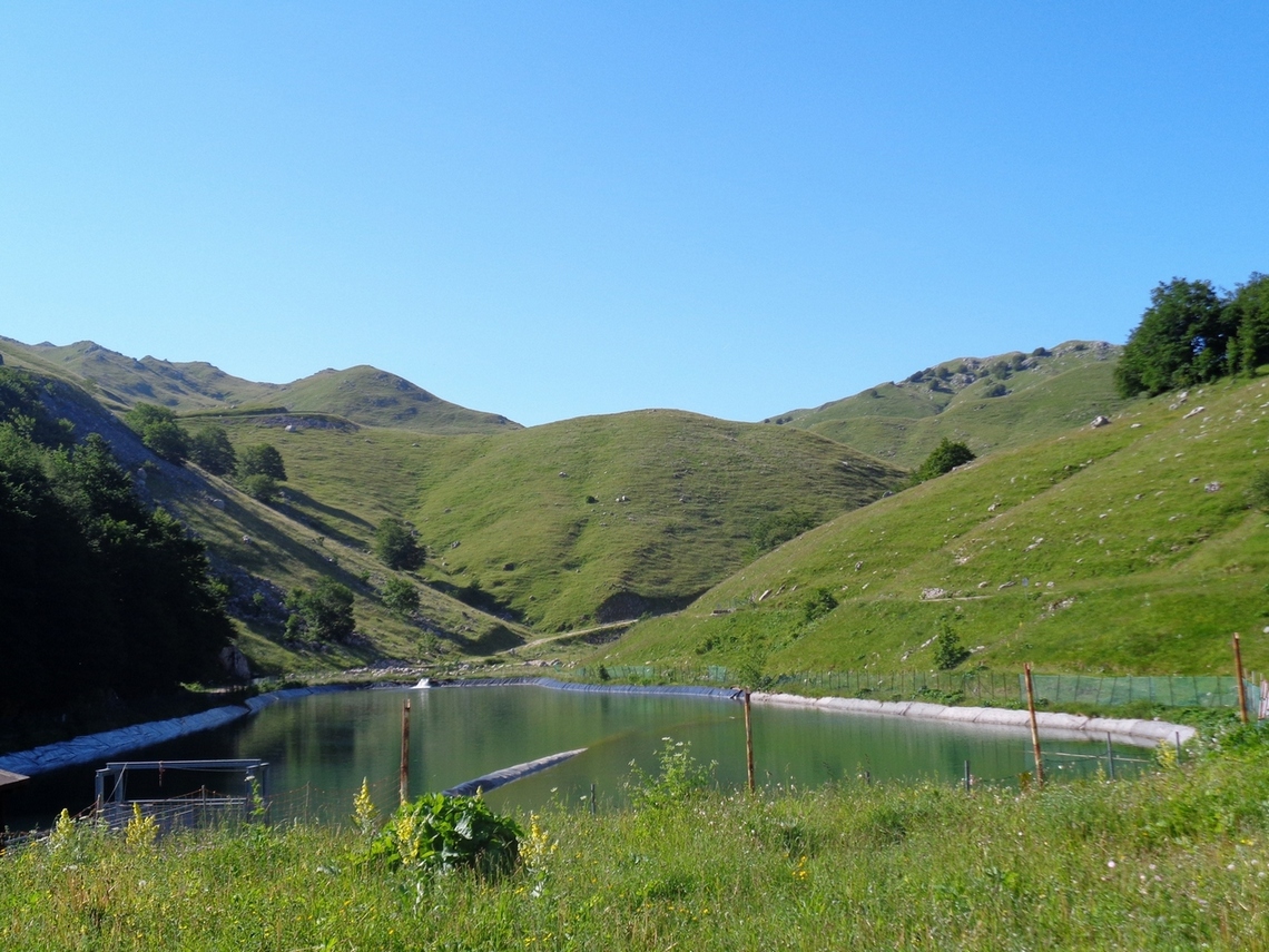 laghetto di raccolta