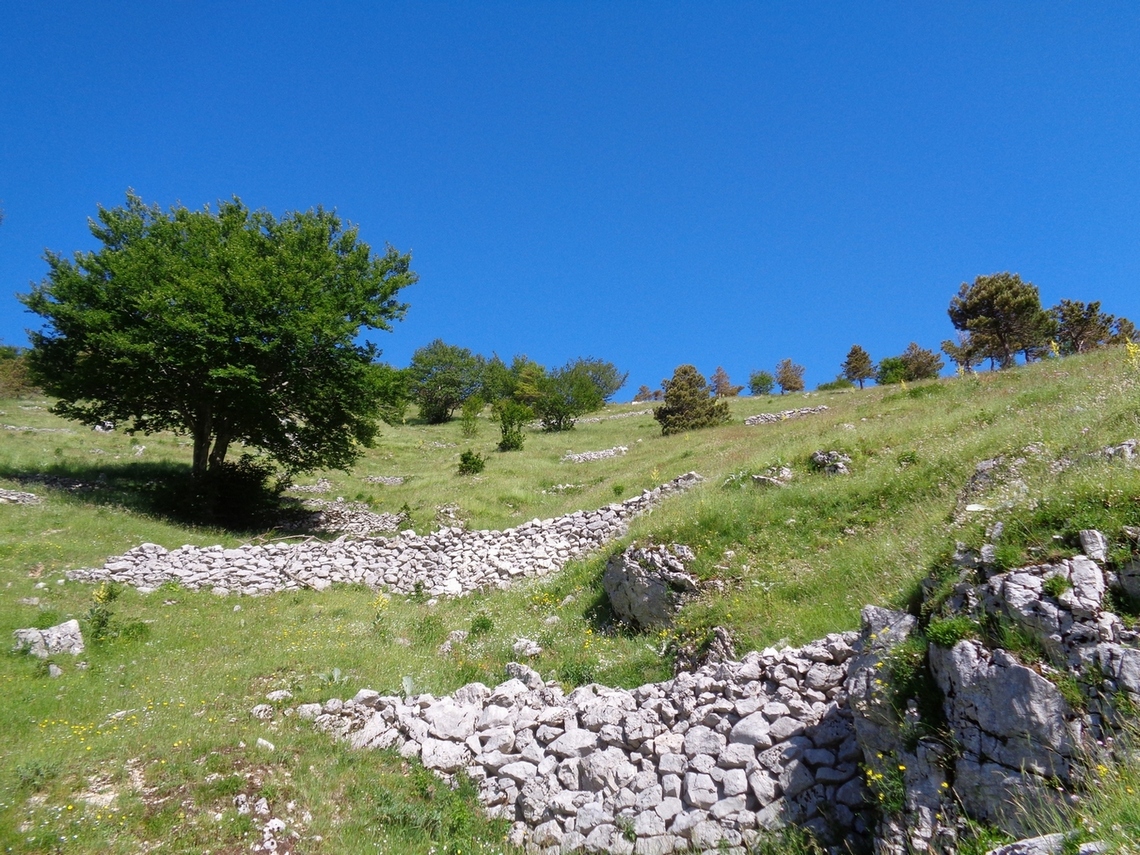Sopra di noi