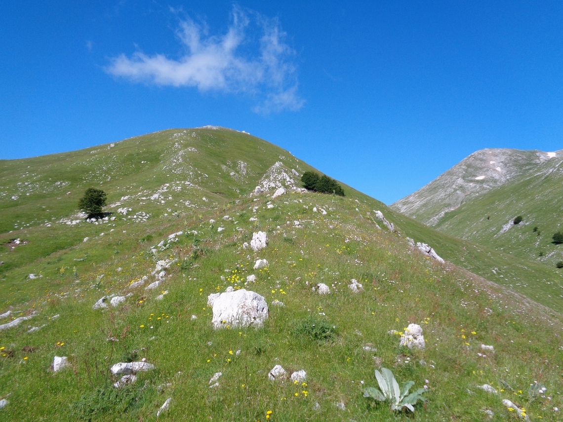 Cime secondarie
