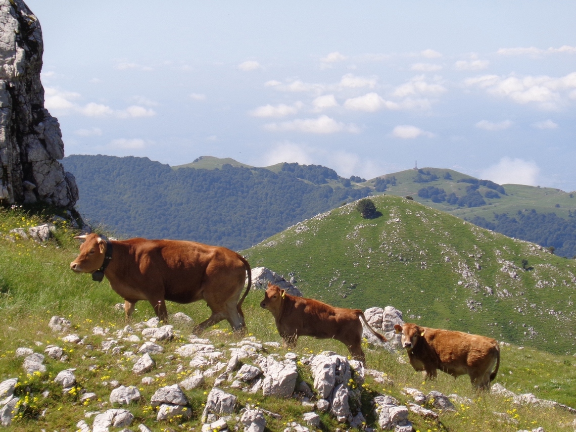 Mamma e figli