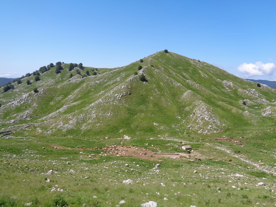 Li sotto c'è Campo dell'Arco