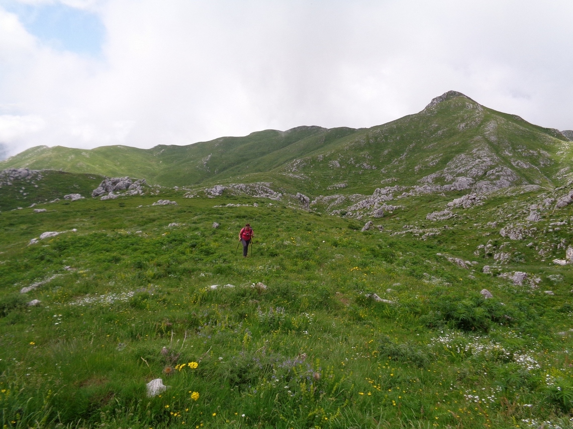Si decide di tornare indietro