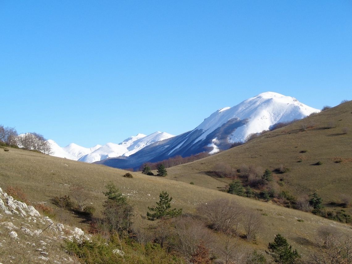 Purtroppo dobbiamo scendere