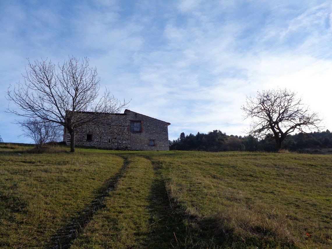 Casolari