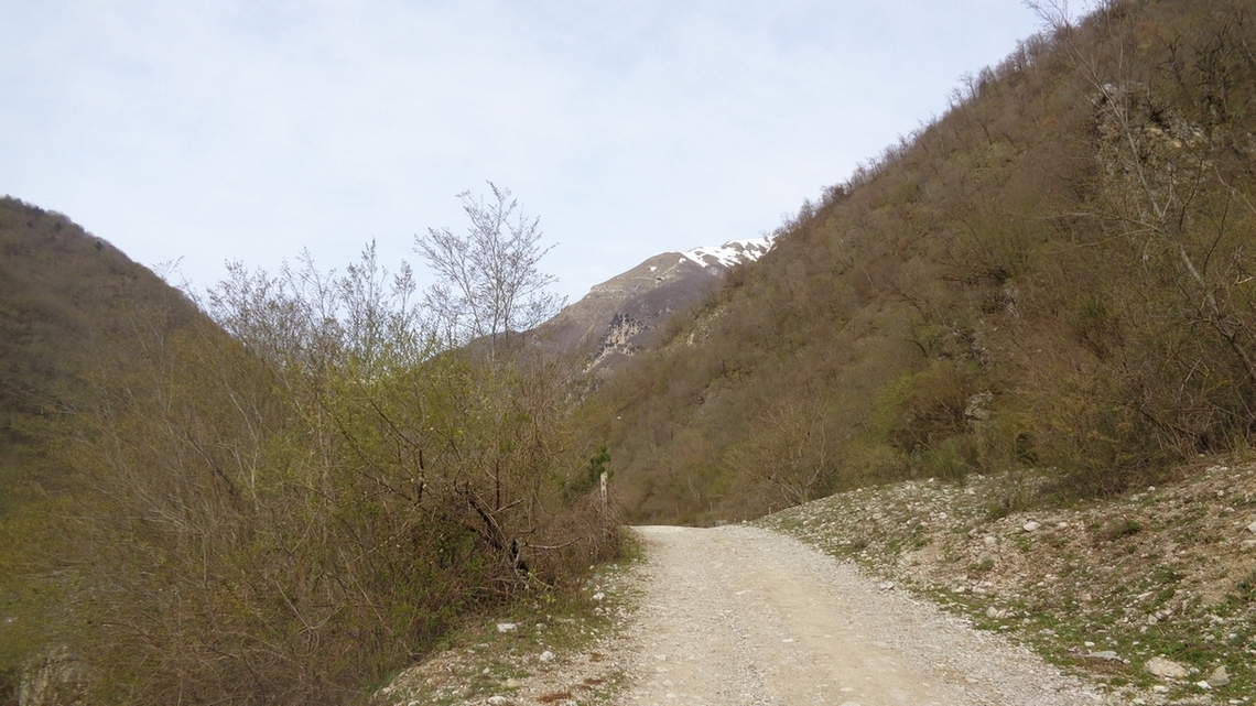 VIA SI PARTE