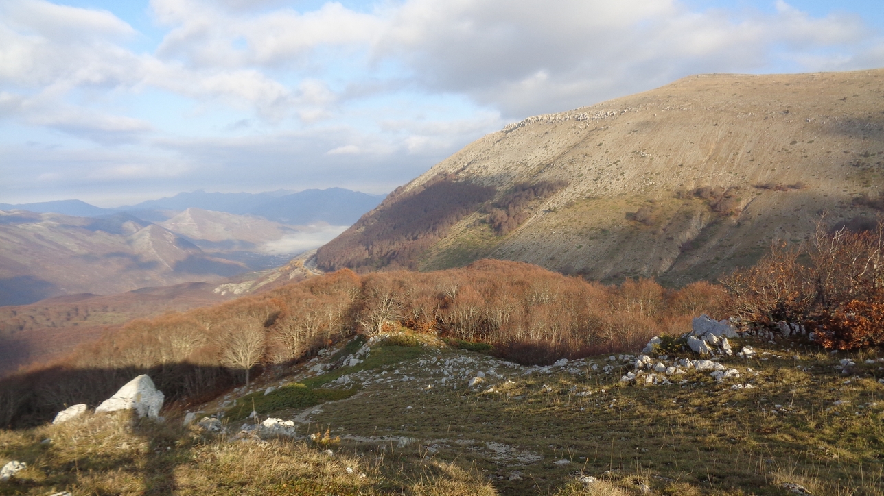 verso il Monte Orselle