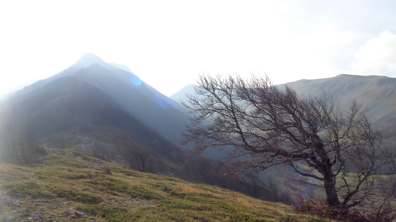 uno sguardo alla Cima del Cornacchia