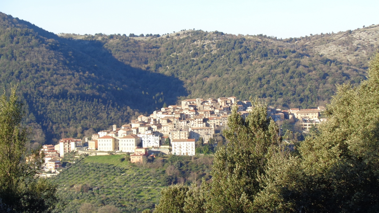 Particolare