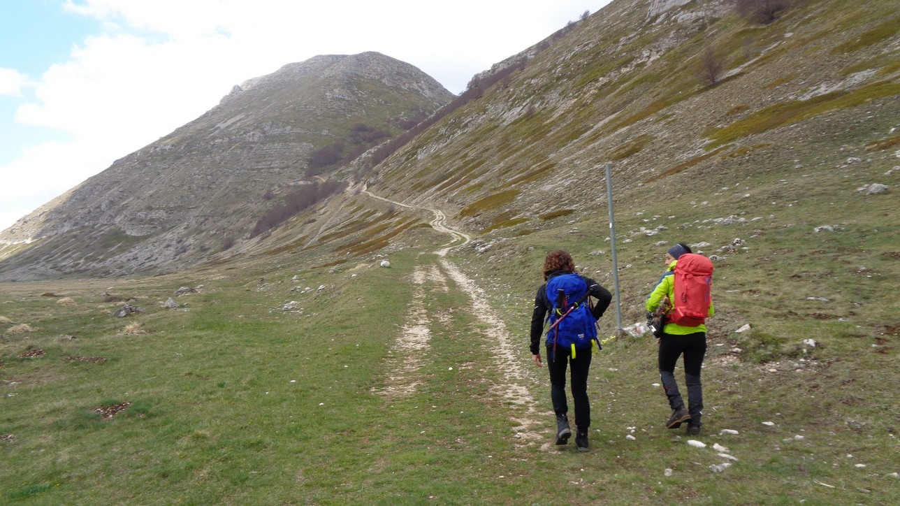 verso forca miccia