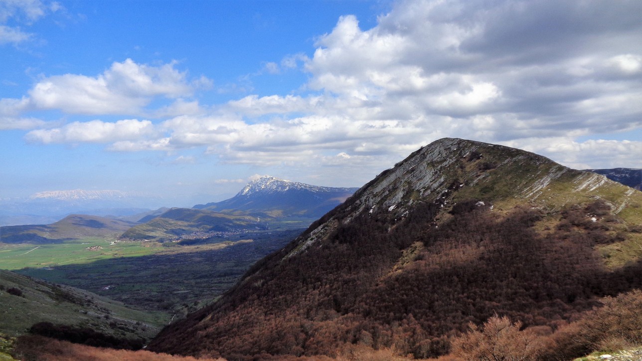 panoramica