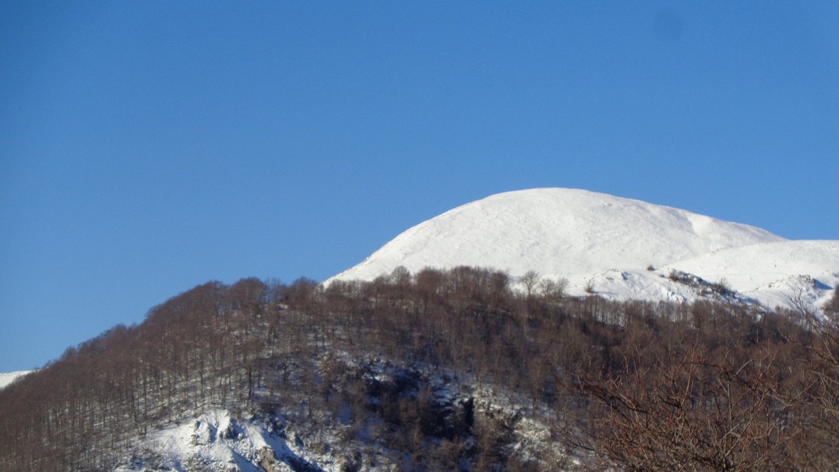 Arriveremo li sopra