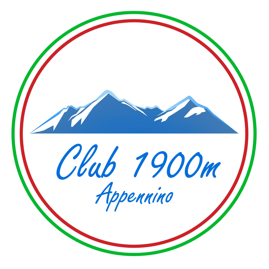 Collaboratore alla fondazione