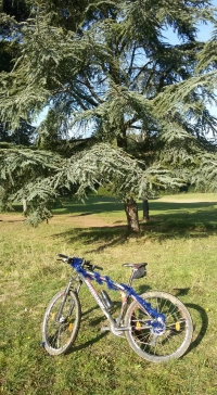 Solitaria di 22 Km in MTB a Natale